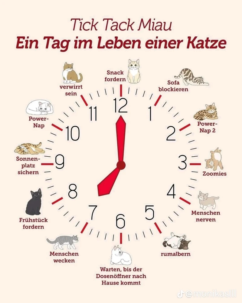 GIF hochgeladen von Sven