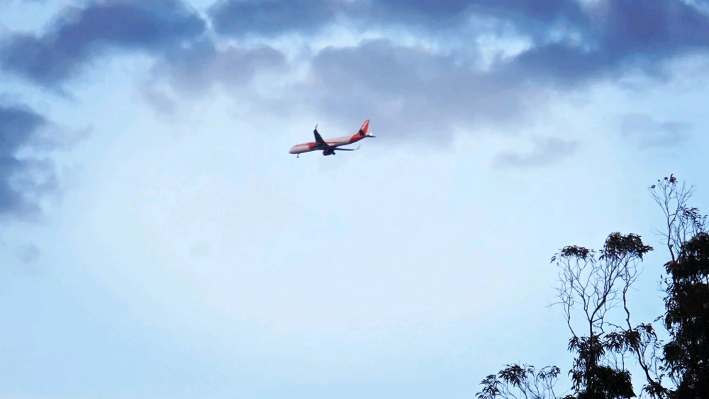 Imagem enviada por Luizao