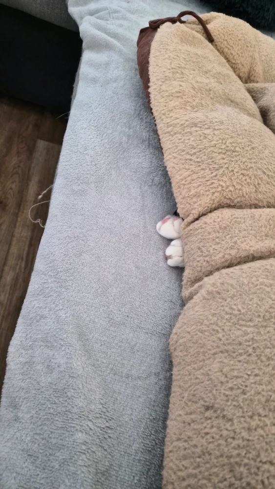 GIF hochgeladen von Devil