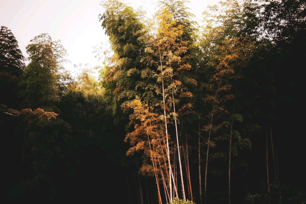 GIF uploaded by Jan