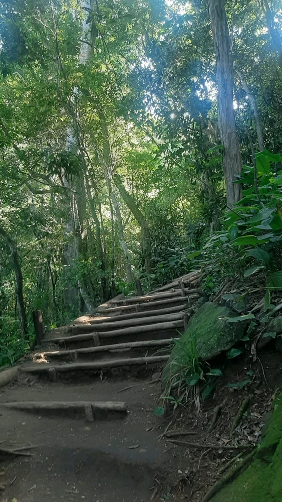 GIF uploaded by Marthin