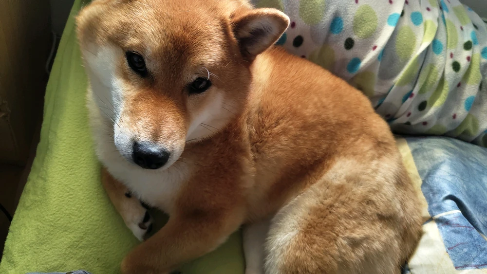 GIF uploaded by Adri