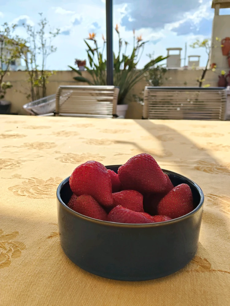 GIF uploaded by Joao