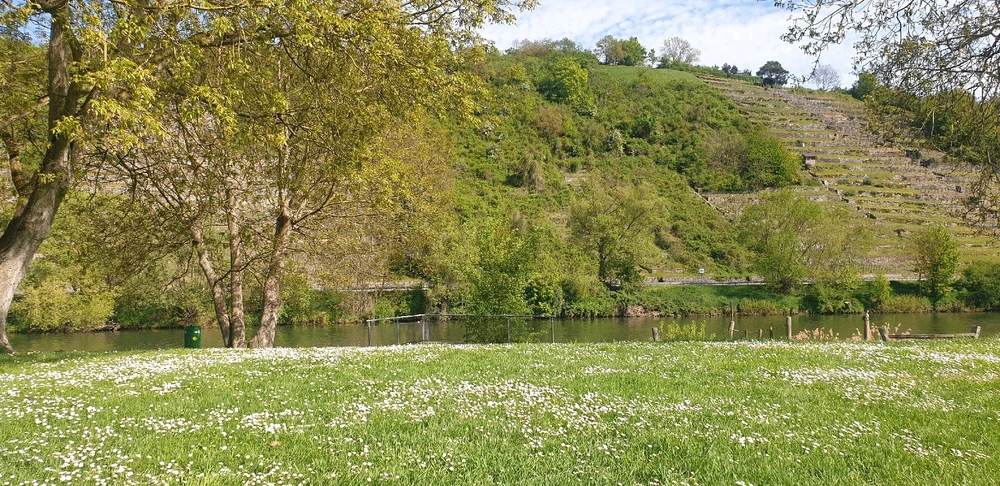 Bild hochgeladen von Marco