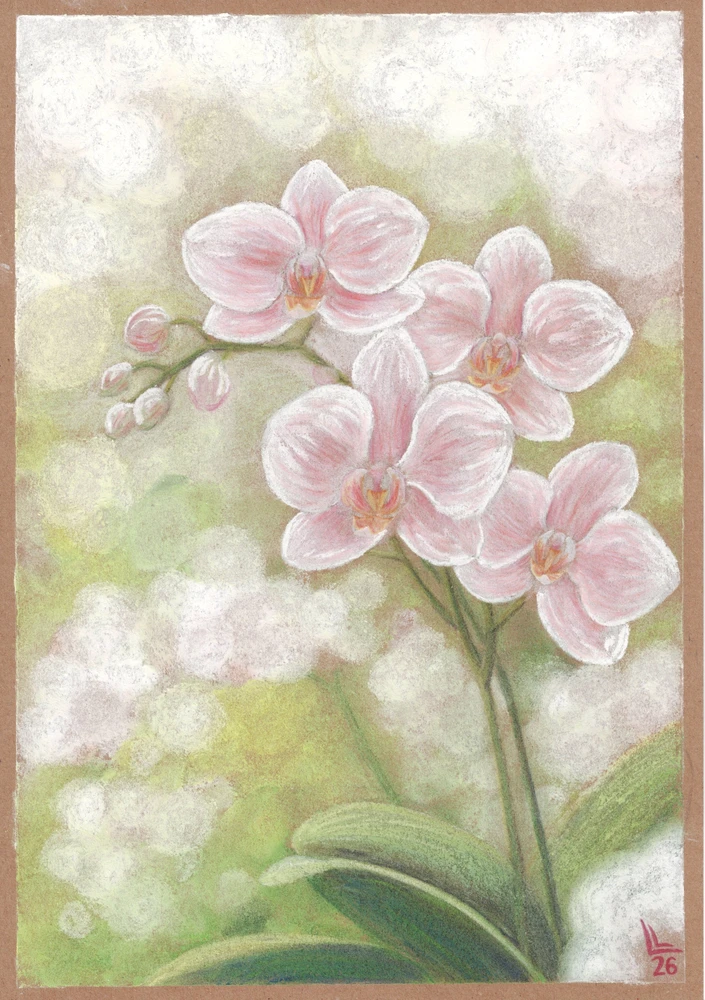 GIF uploaded by Lucas