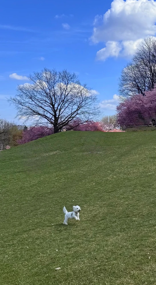 GIF uploaded by Daniel