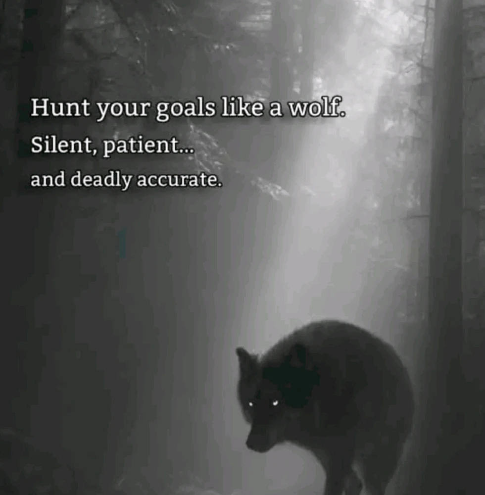 GIF uploaded by Maggie