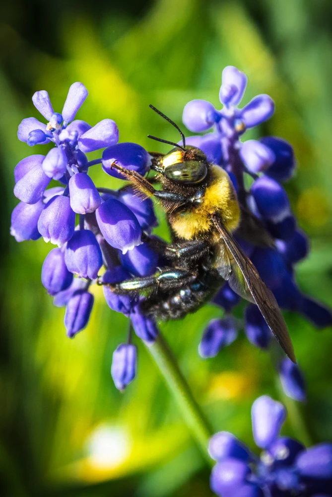 GIF uploaded by Bryan