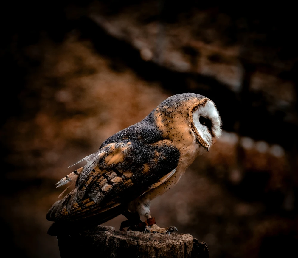 Image uploaded by Jarek PhotoJaroSlavic