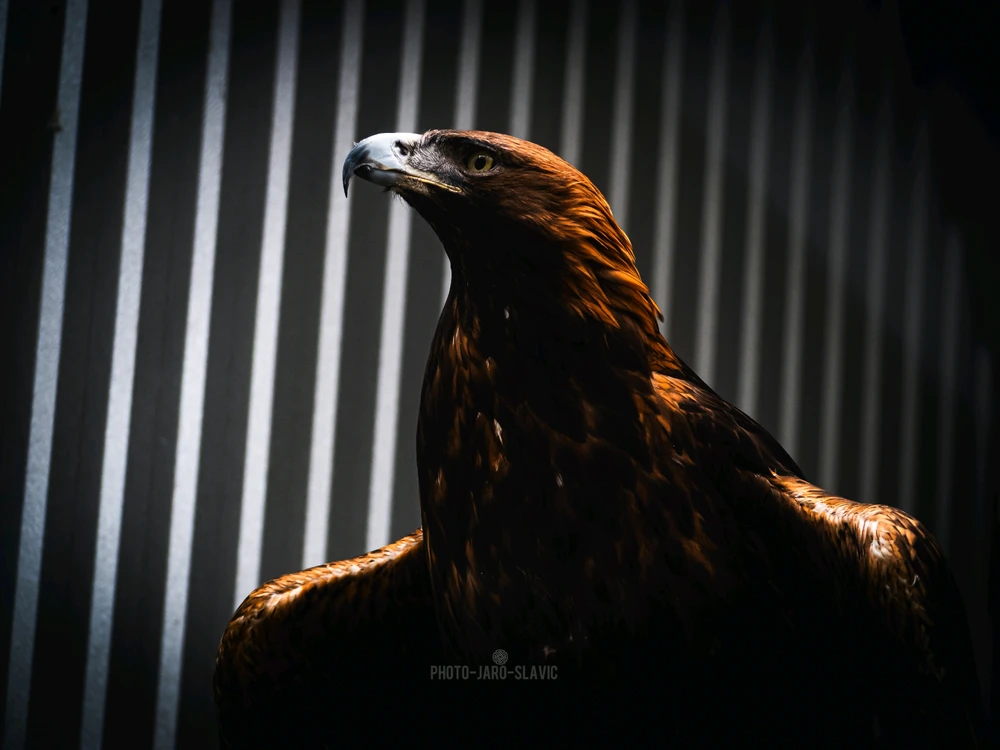 Image uploaded by Jarek PhotoJaroSlavic
