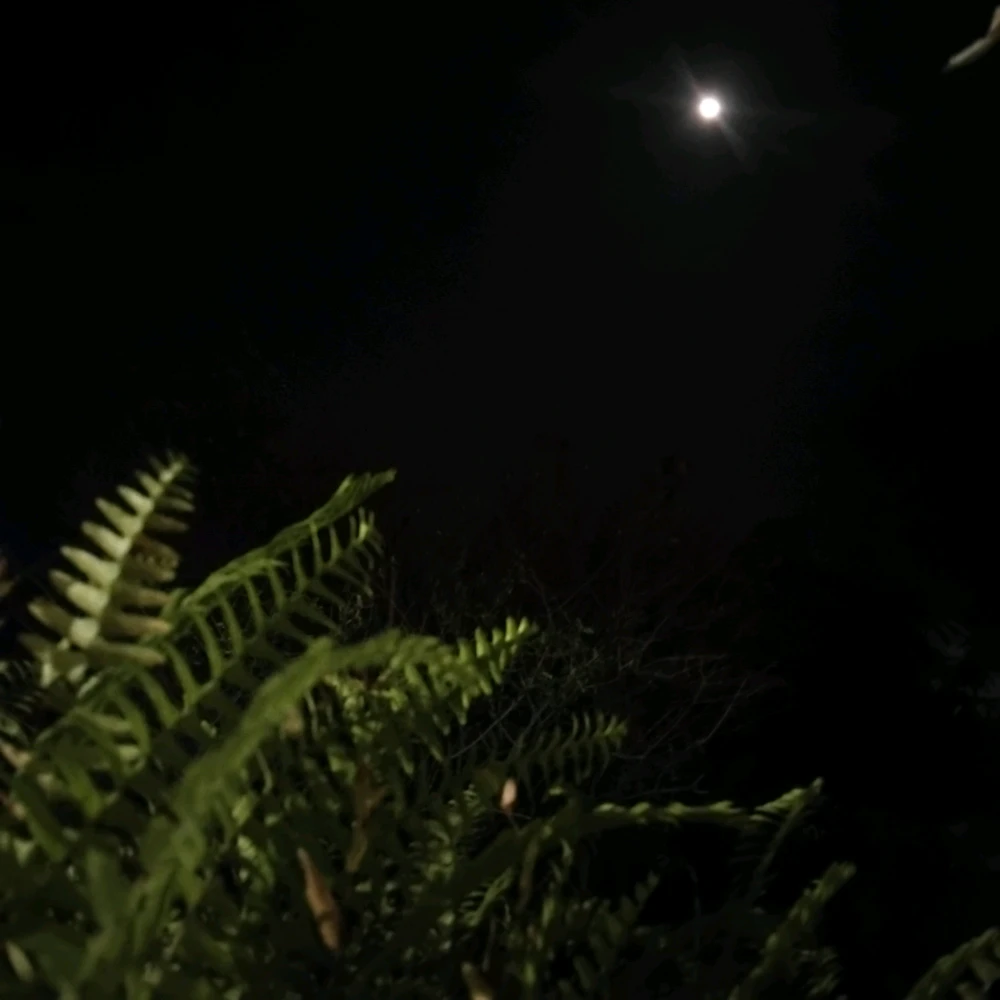 GIF enviado por Dani