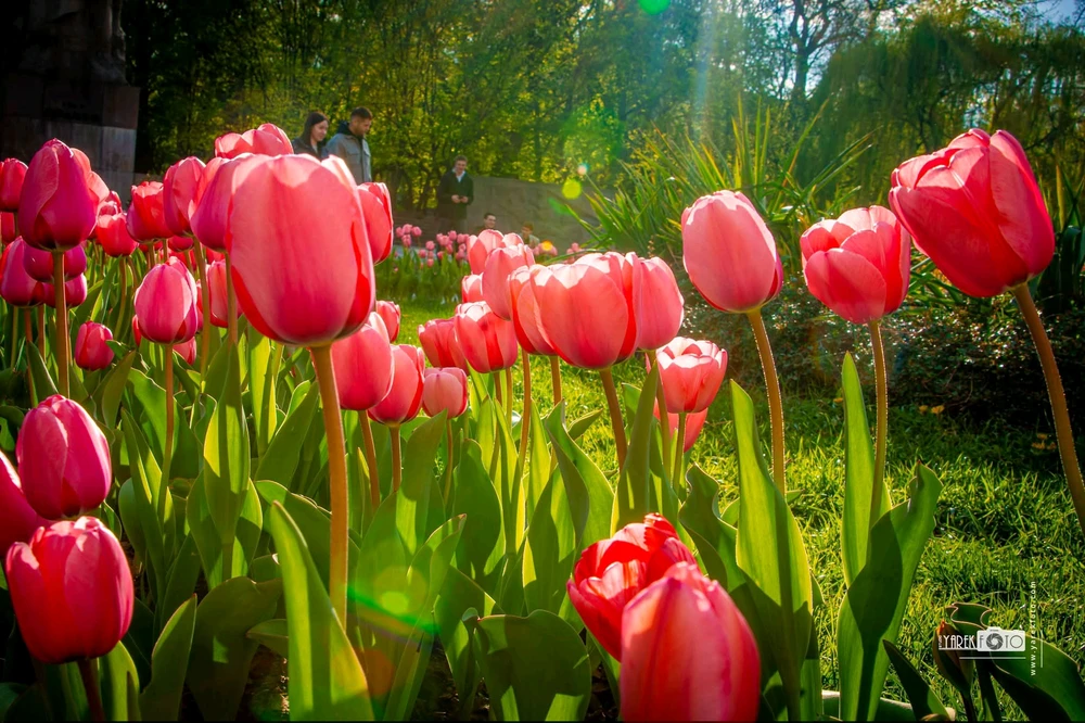 Image uploaded by Yarek