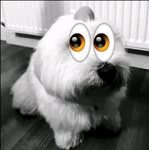 GIF subido por Josué