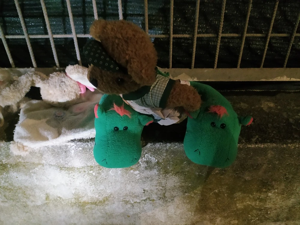 Image uploaded by Miguel