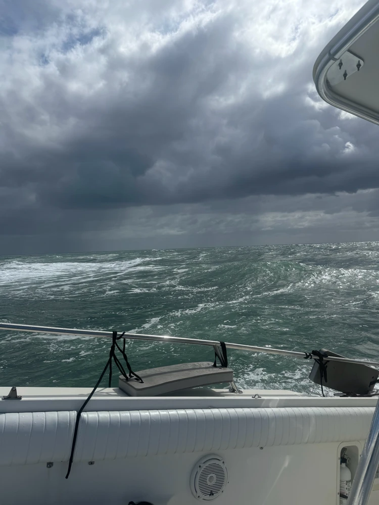 GIF uploaded by Laurie