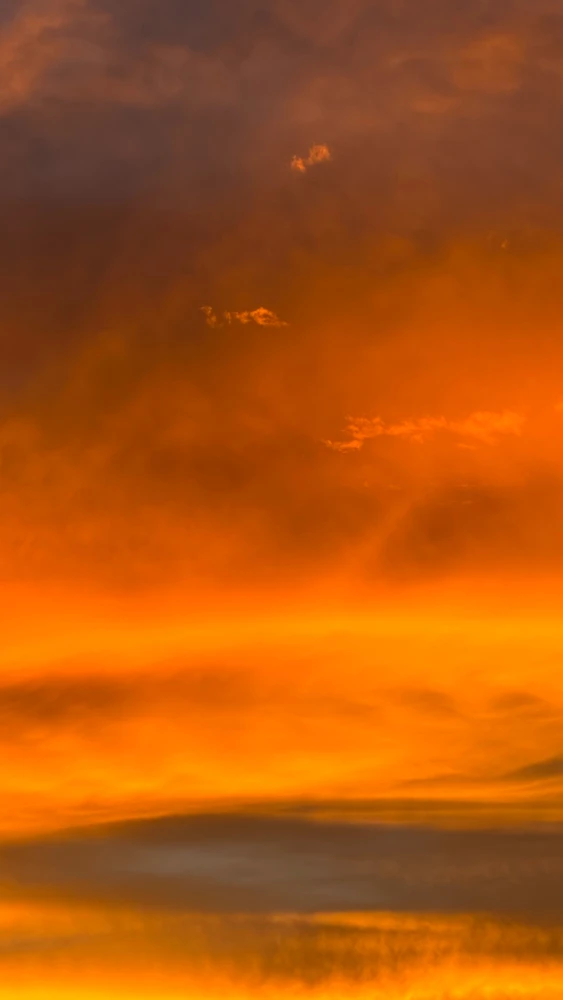 GIF uploaded by José Pablo