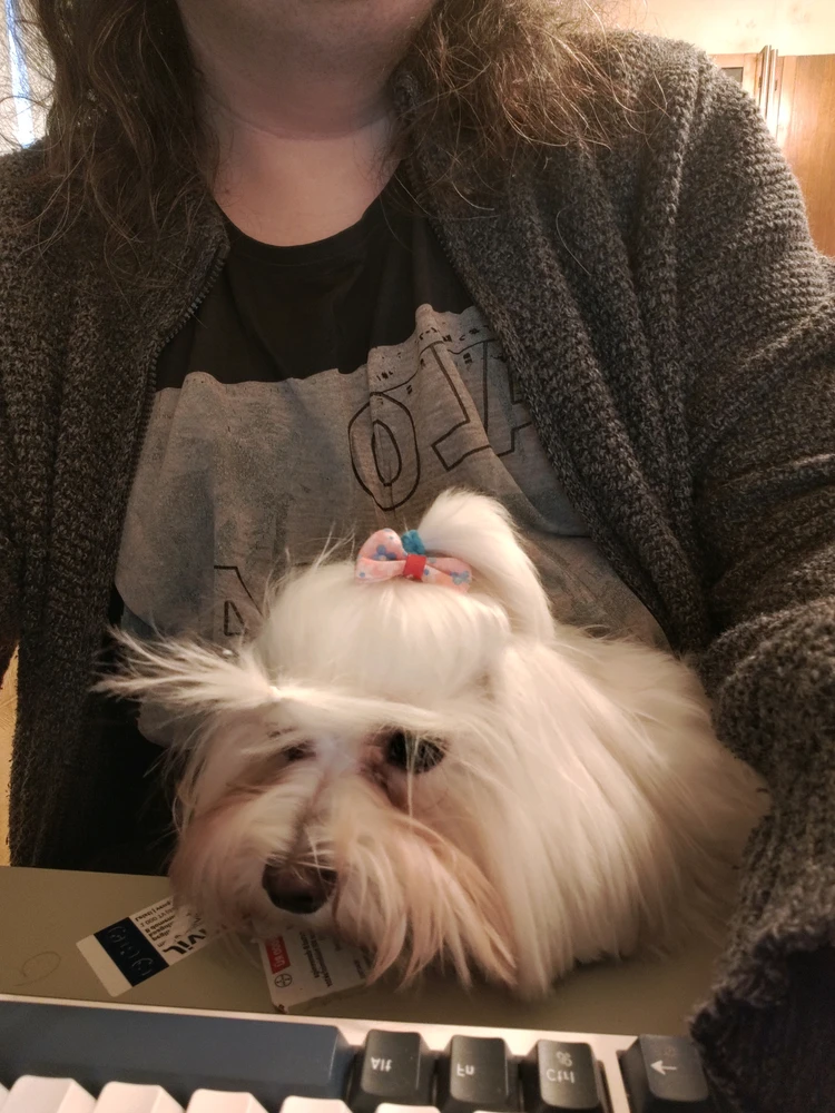 GIF uploaded by Ermes