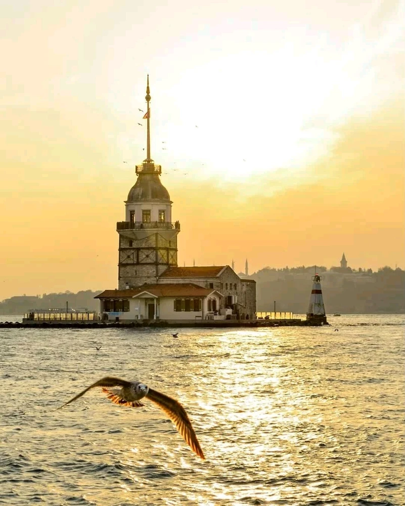 GIF загрузил John Racher