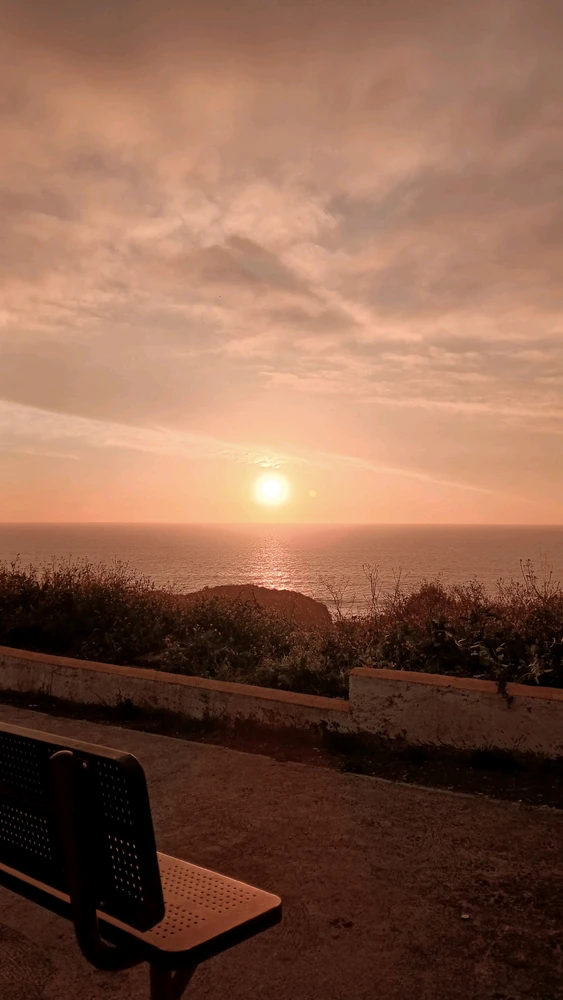 GIF uploaded by Vicky