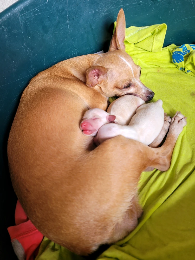 GIF uploaded by Gabriel