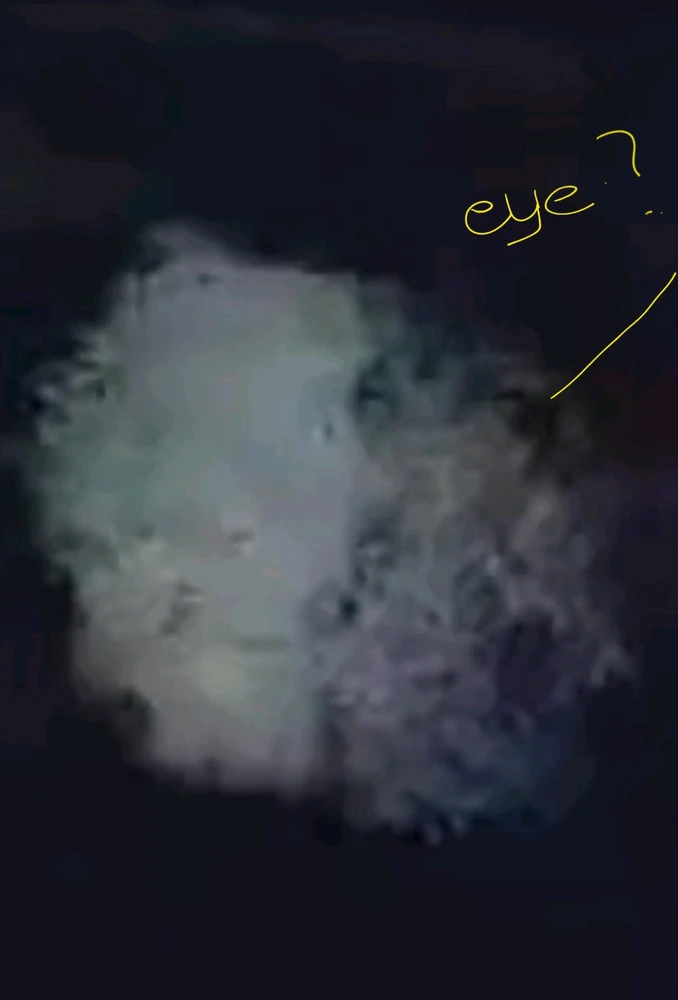 Image uploaded by Ever B