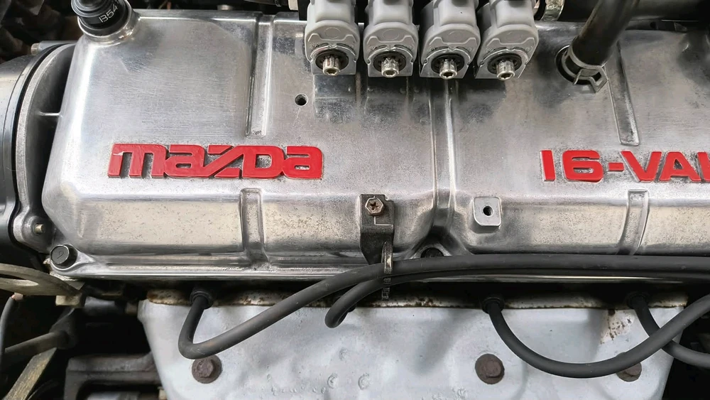 Image uploaded by Nikita