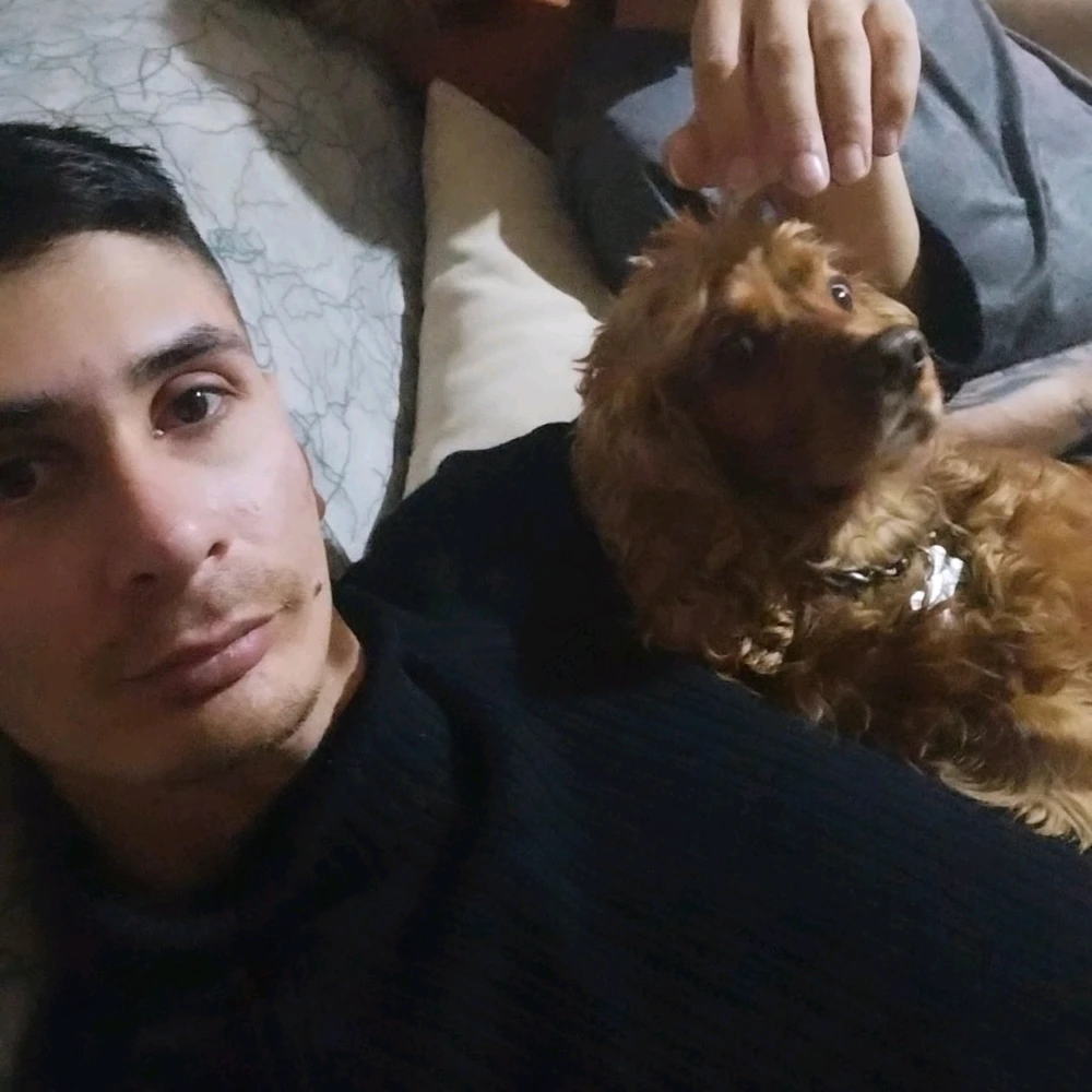 Aras tarafından yüklenen GIF