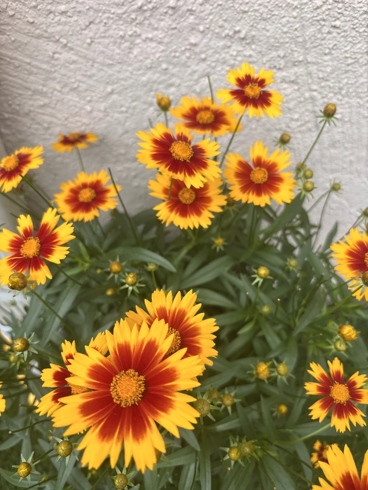 GIF uploaded by Ashlee