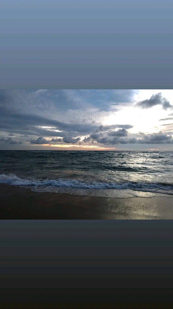 GIF uploaded by S