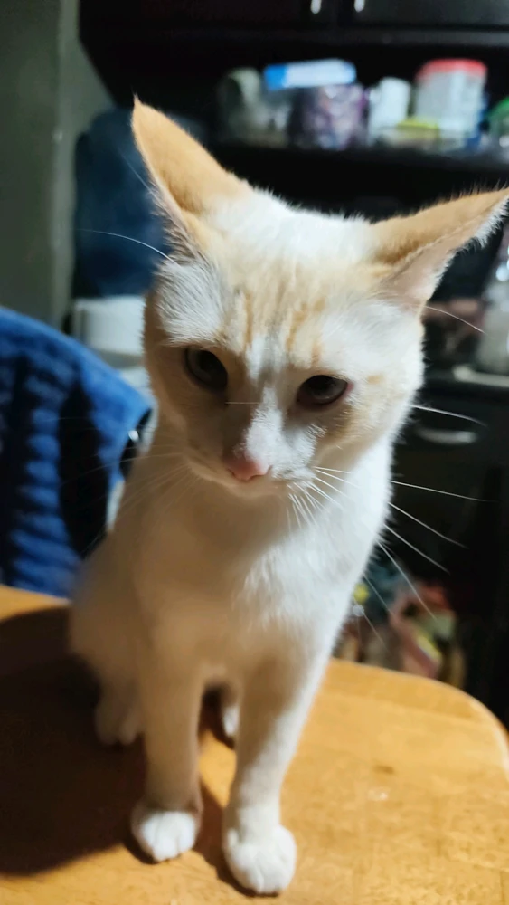 GIF uploaded by Angel
