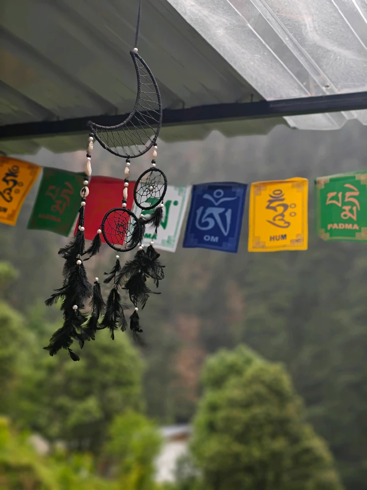 Image uploaded by Abby