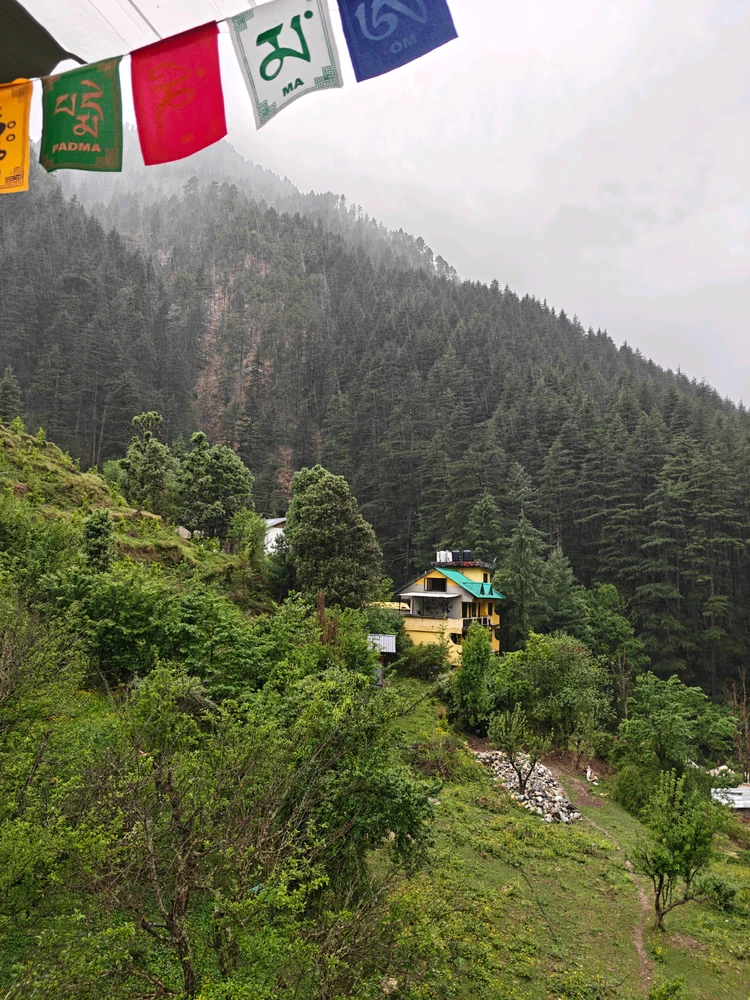 Image uploaded by Abby