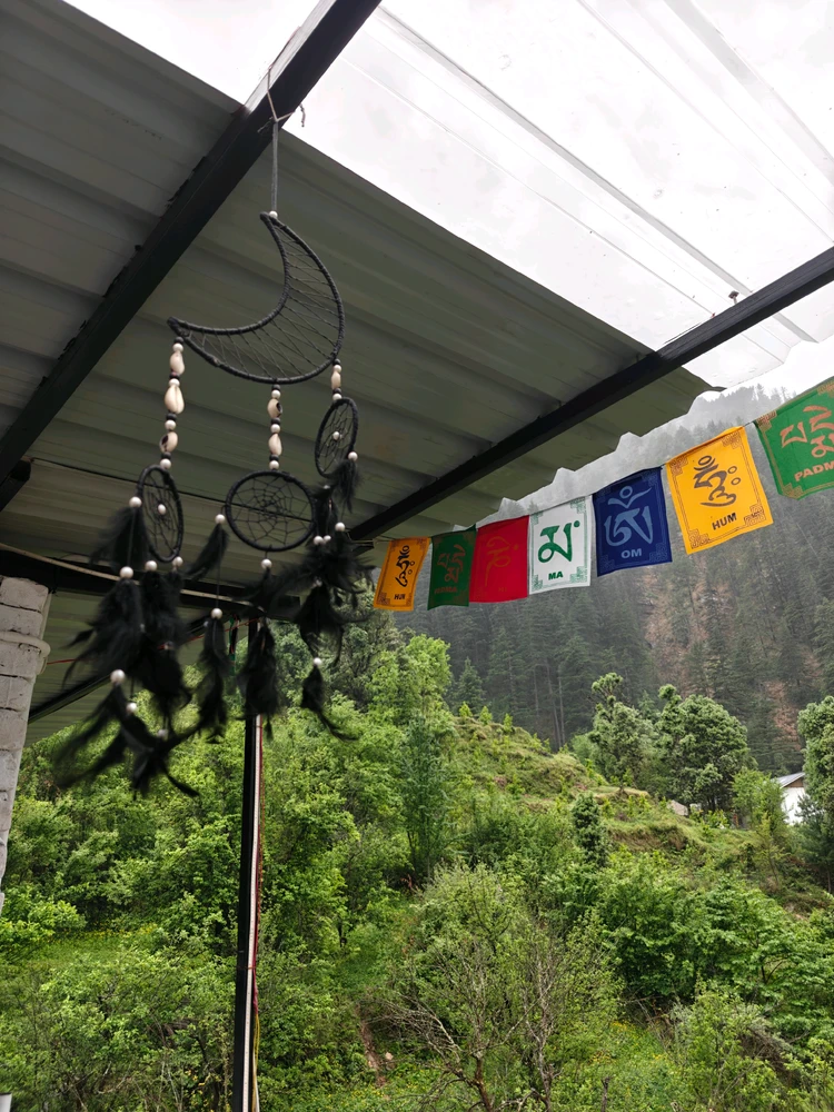 Image uploaded by Abby