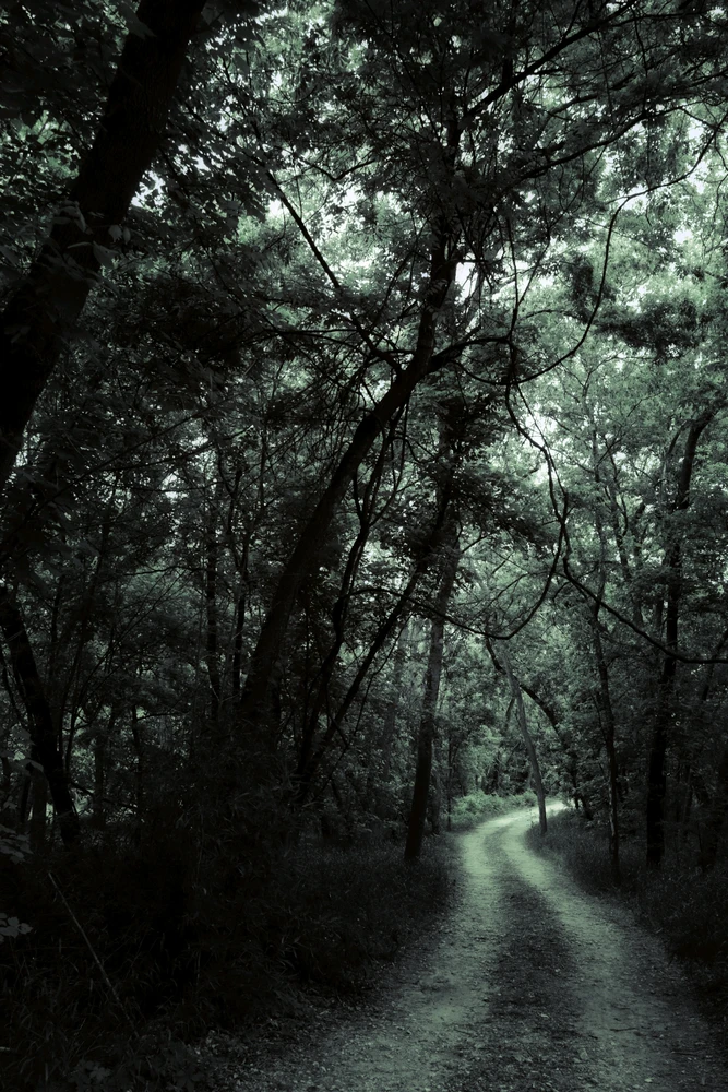 GIF uploaded by James