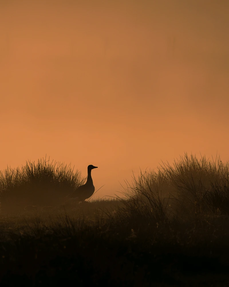 Image uploaded by Philip