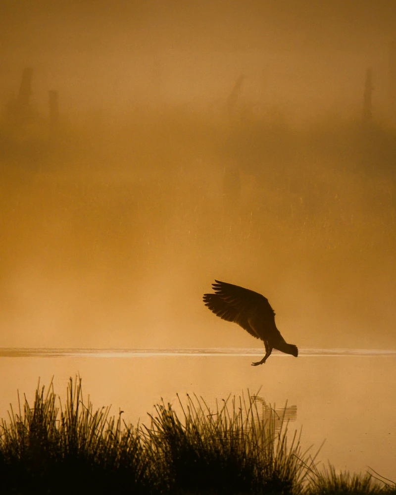 Image uploaded by Philip