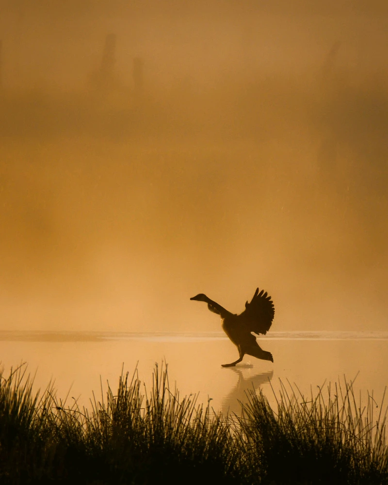 Image uploaded by Philip