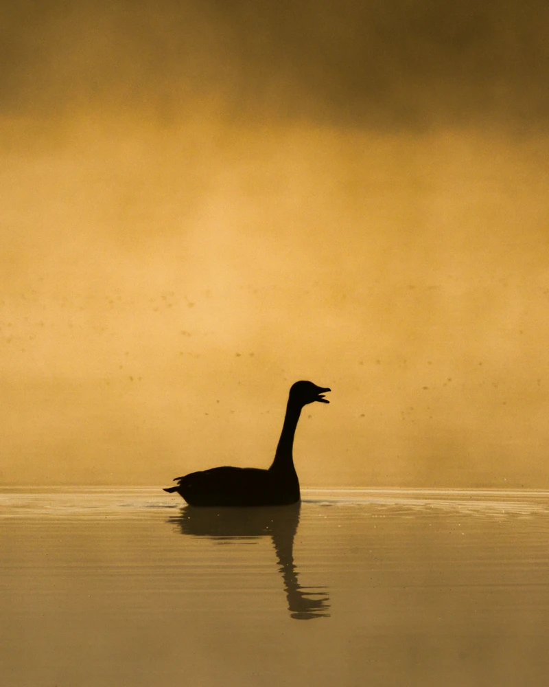 Image uploaded by Philip