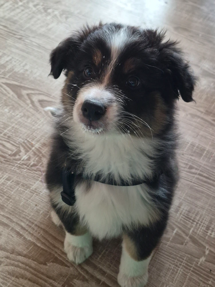 GIF uploaded by Ilona