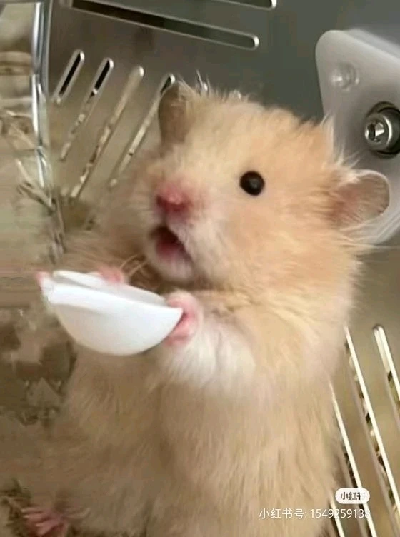 GIF uploaded by Sereneia