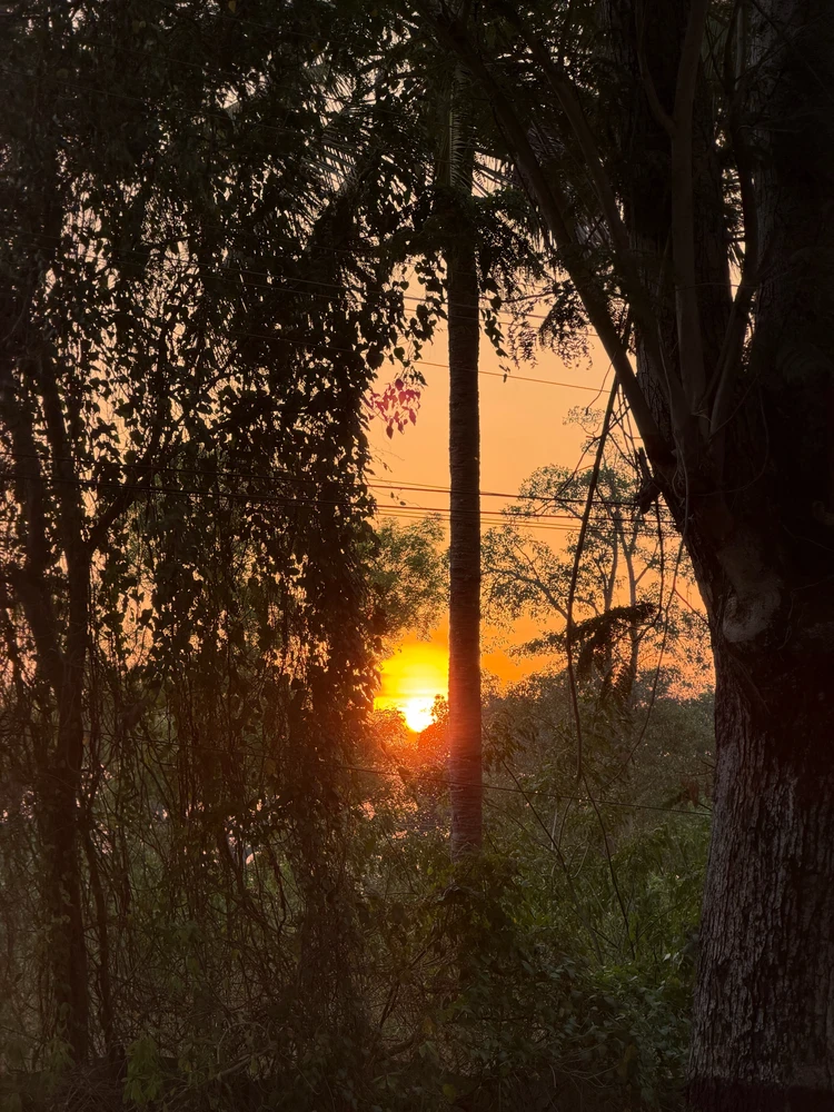 Image uploaded by Vineeth