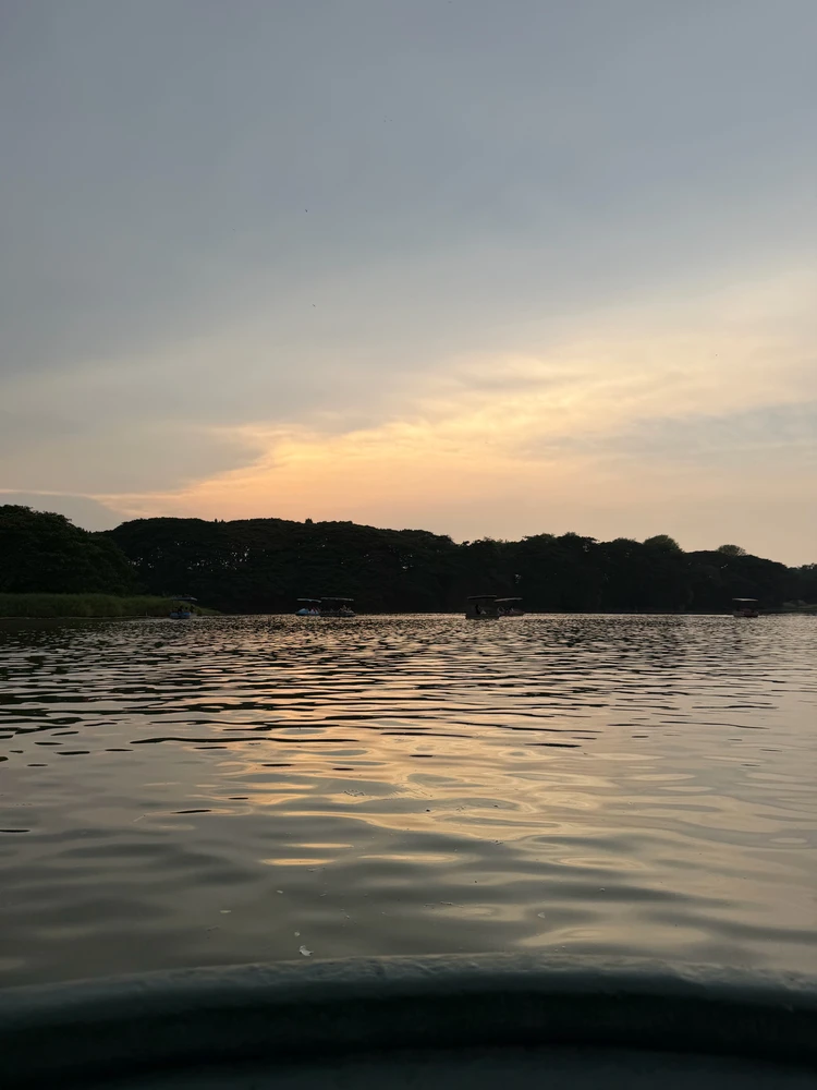Image uploaded by Vineeth