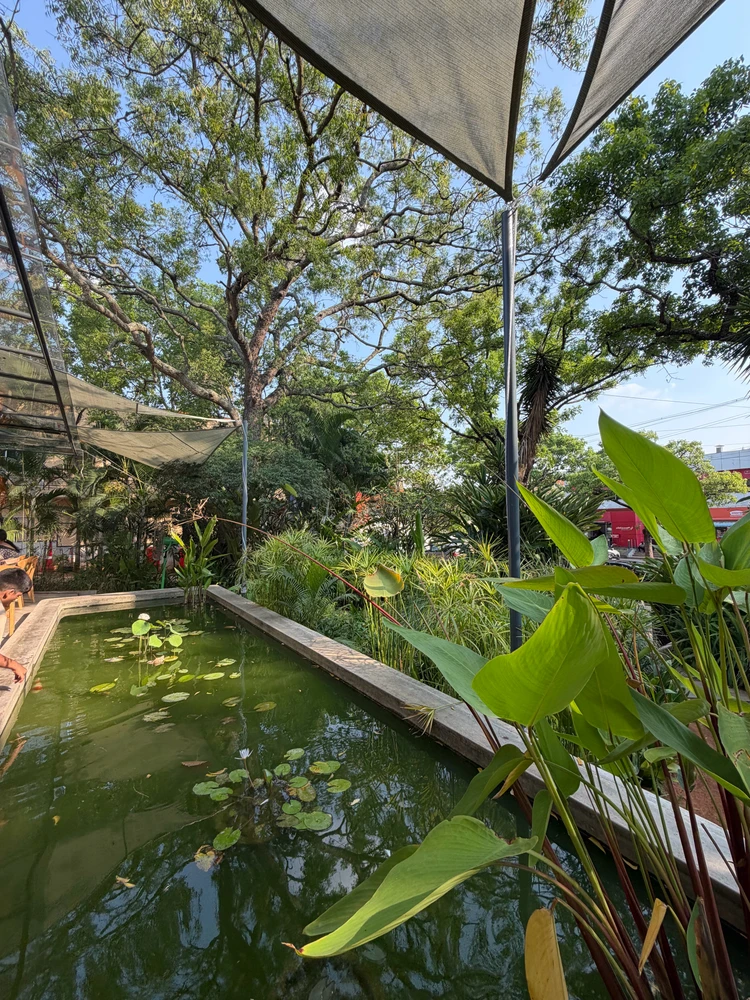 Image uploaded by Vineeth