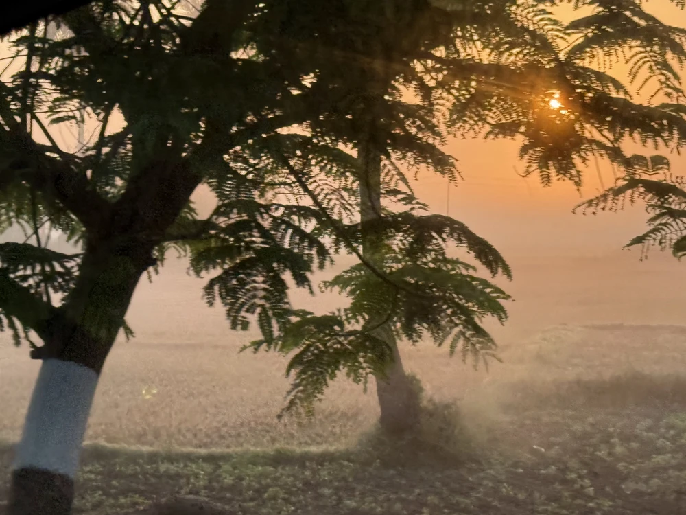 Image uploaded by Vineeth