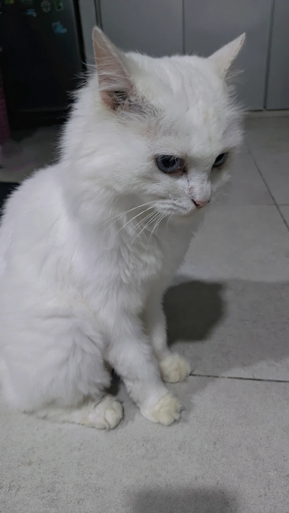 Image uploaded by Mya