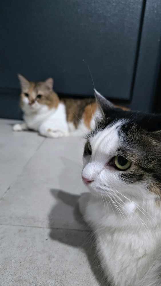 Image uploaded by Mya