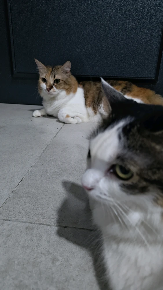 Image uploaded by Mya