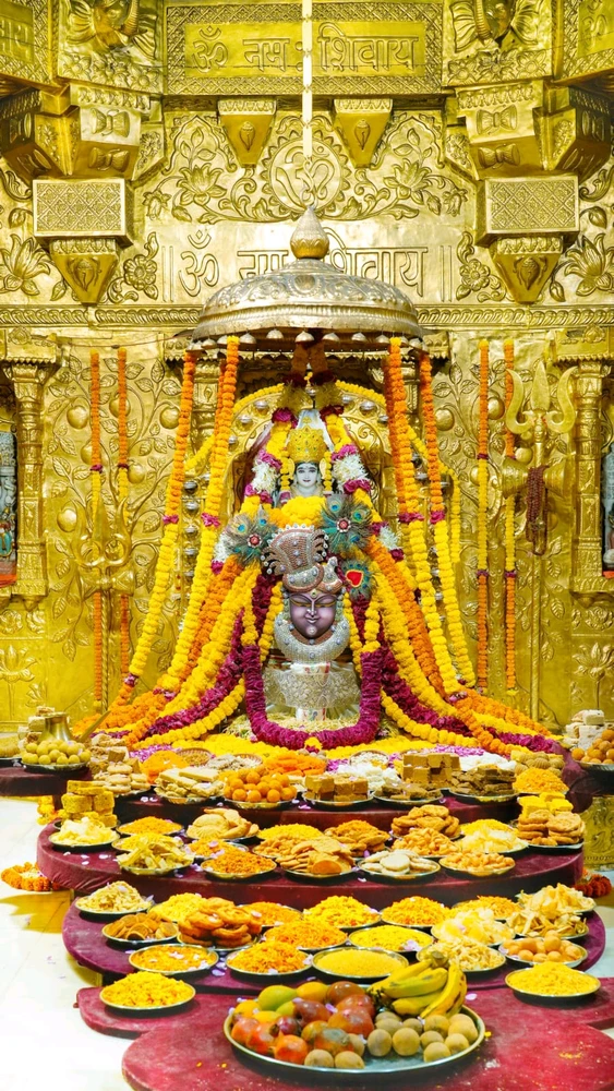 Tejas Patel erabiltzaileak igotako GIFa