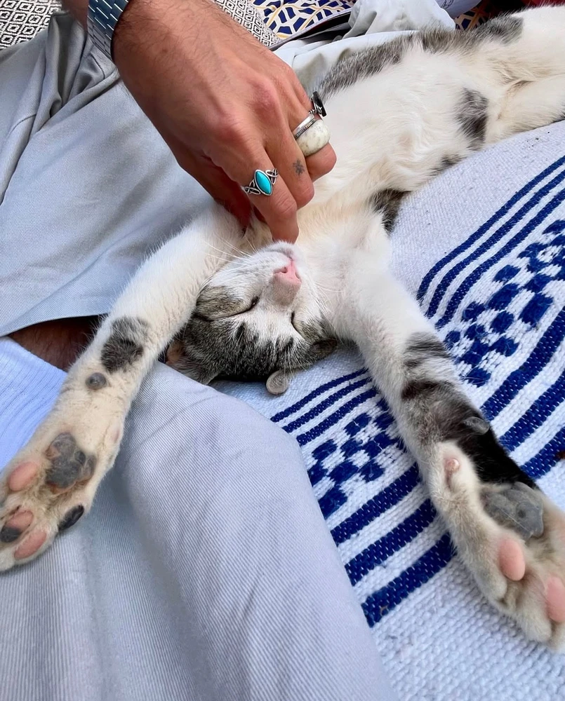 Image uploaded by mohceiin