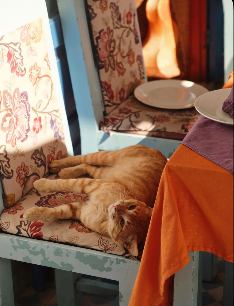 Image uploaded by mohceiin